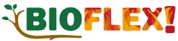 11.2 Logo Bioflex