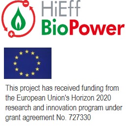 HiEff BioPower