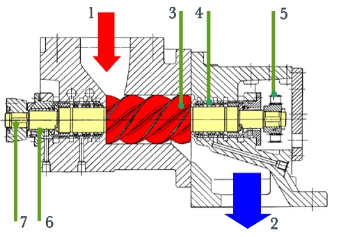 AbbFig1 Schnittzeichnung Schraubenmotor